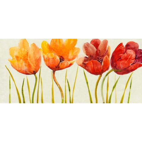 Row of Tulips I Black Modern Wood Framed Art Print with Double Matting by OToole, Tim