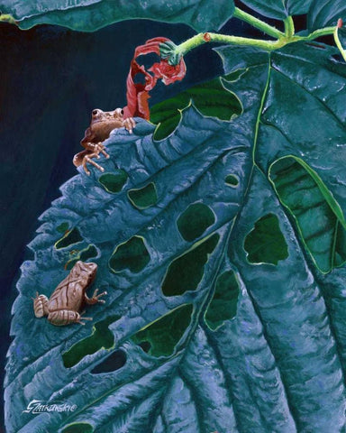 Spring Peepers I Black Ornate Wood Framed Art Print with Double Matting by Szatkowski, Fred