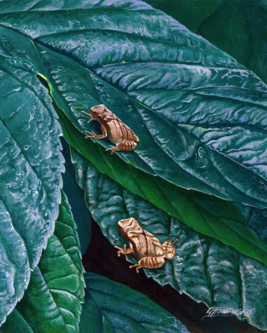 Spring Peepers II White Modern Wood Framed Art Print with Double Matting by Szatkowski, Fred