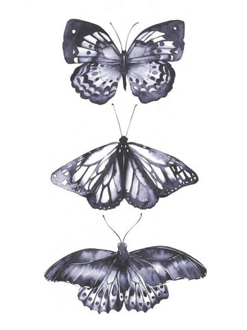 Monochrome Butterflies II White Modern Wood Framed Art Print with Double Matting by Popp, Grace