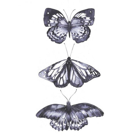 Monochrome Butterflies II Black Modern Wood Framed Art Print by Popp, Grace
