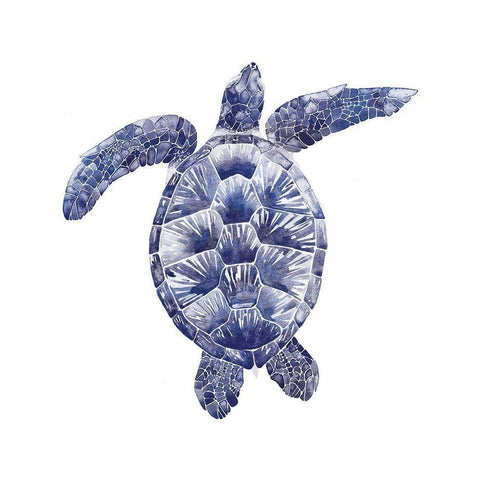 Marine Turtle II Black Modern Wood Framed Art Print by Popp, Grace