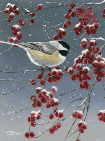 Winter Chickadees I Black Ornate Wood Framed Art Print with Double Matting by Szatkowski, Fred