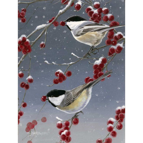 Winter Chickadees II Black Modern Wood Framed Art Print with Double Matting by Szatkowski, Fred