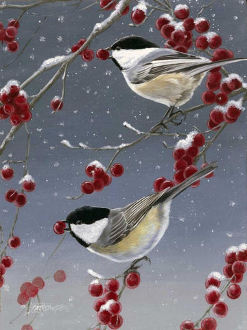 Winter Chickadees II White Modern Wood Framed Art Print with Double Matting by Szatkowski, Fred