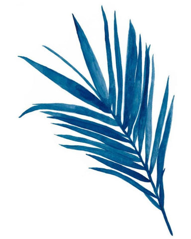 Indigo Botanica III Black Ornate Wood Framed Art Print with Double Matting by McCavitt, Naomi