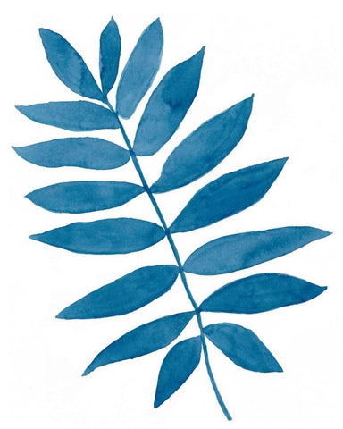 Indigo Botanica V Black Ornate Wood Framed Art Print with Double Matting by McCavitt, Naomi