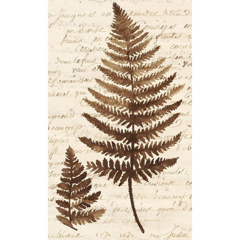 Ferns And Ledgers I Gold Ornate Wood Framed Art Print with Double Matting by McCavitt, Naomi