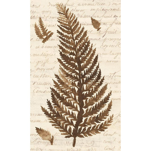 Ferns And Ledgers II Gold Ornate Wood Framed Art Print with Double Matting by McCavitt, Naomi