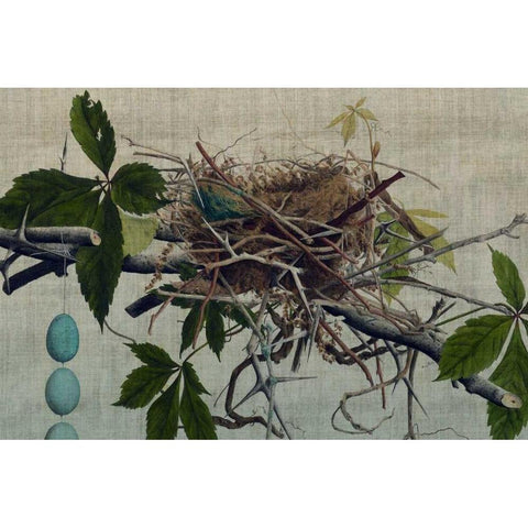 Nesting I Black Modern Wood Framed Art Print with Double Matting by Butler, John