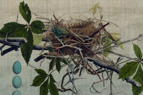 Nesting I White Modern Wood Framed Art Print with Double Matting by Butler, John