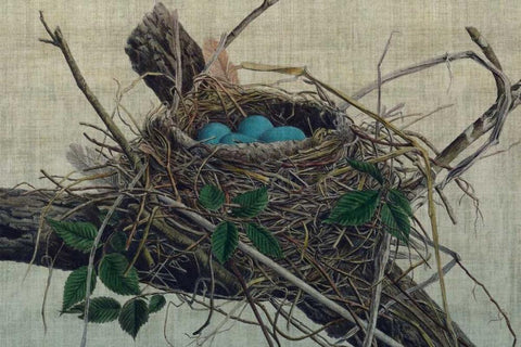 Nesting II Black Ornate Wood Framed Art Print with Double Matting by Butler, John