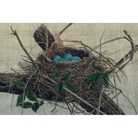 Nesting II Black Modern Wood Framed Art Print by Butler, John