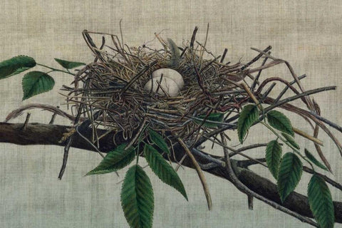 Nesting III White Modern Wood Framed Art Print with Double Matting by Butler, John