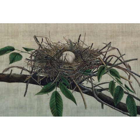 Nesting III Black Modern Wood Framed Art Print with Double Matting by Butler, John