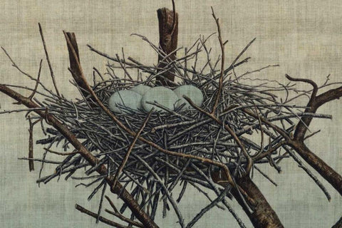Nesting IV Black Ornate Wood Framed Art Print with Double Matting by Butler, John