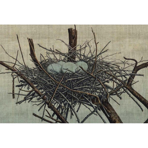 Nesting IV Black Modern Wood Framed Art Print by Butler, John