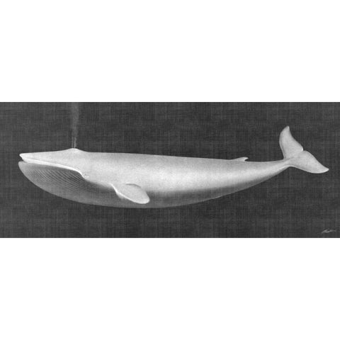 Whale Watching I Black Modern Wood Framed Art Print by Butler, John