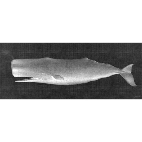 Whale Watching II Gold Ornate Wood Framed Art Print with Double Matting by Butler, John