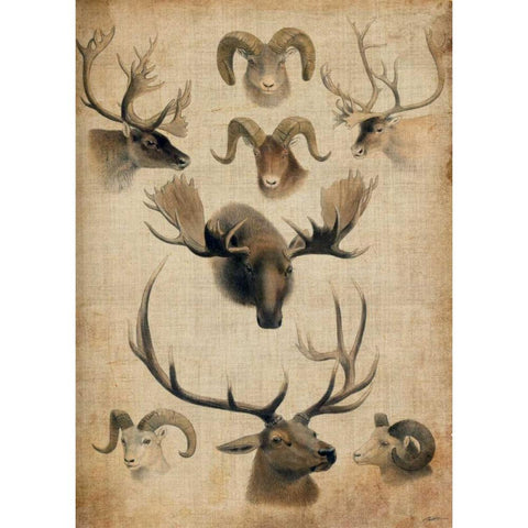 American Trophy I Black Modern Wood Framed Art Print with Double Matting by Butler, John