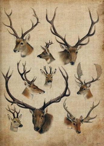 American Trophy II Black Ornate Wood Framed Art Print with Double Matting by Butler, John