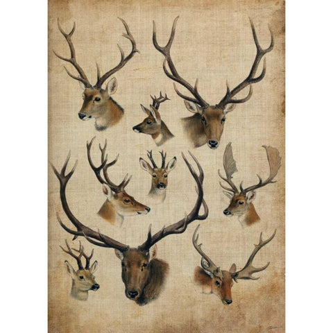 American Trophy II Black Modern Wood Framed Art Print by Butler, John