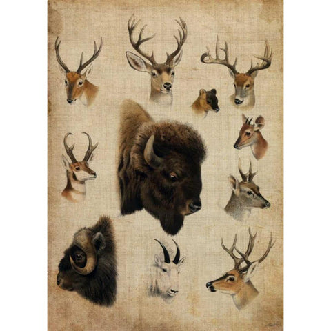 American Trophy III Black Modern Wood Framed Art Print by Butler, John