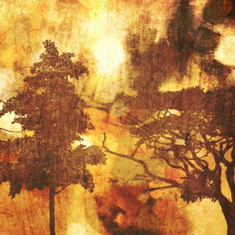 Autumn Colored I White Modern Wood Framed Art Print with Double Matting by Orlov, Irena