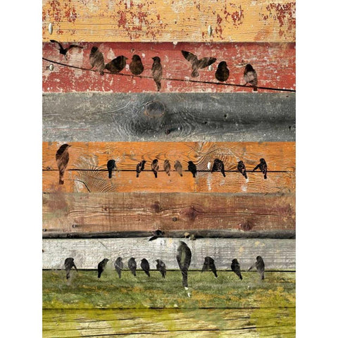 Birds on Wood I Black Modern Wood Framed Art Print with Double Matting by Orlov, Irena