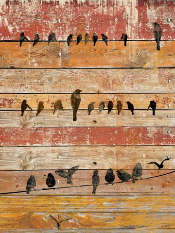 Birds on Wood II Black Ornate Wood Framed Art Print with Double Matting by Orlov, Irena