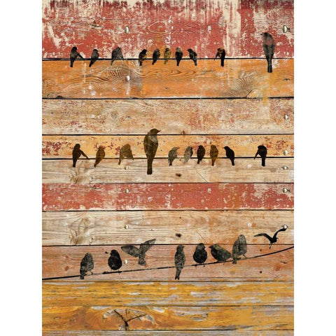 Birds on Wood II Black Modern Wood Framed Art Print by Orlov, Irena