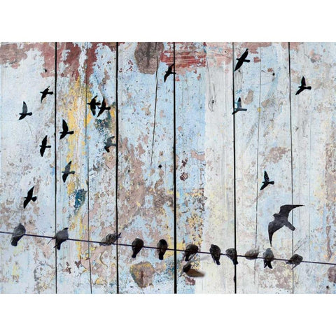 Birds on Wood III Black Modern Wood Framed Art Print by Orlov, Irena
