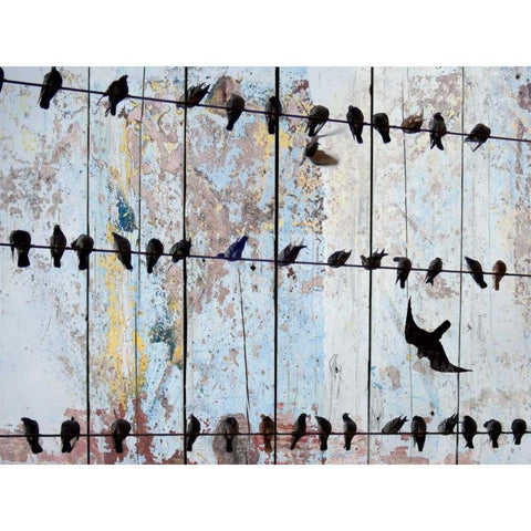 Birds on Wood IV Black Modern Wood Framed Art Print with Double Matting by Orlov, Irena