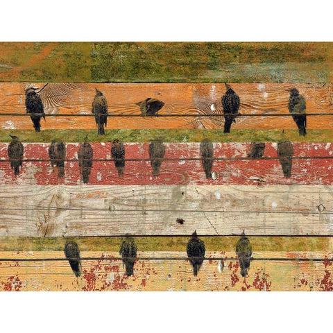 Birds on Wood VI White Modern Wood Framed Art Print by Orlov, Irena