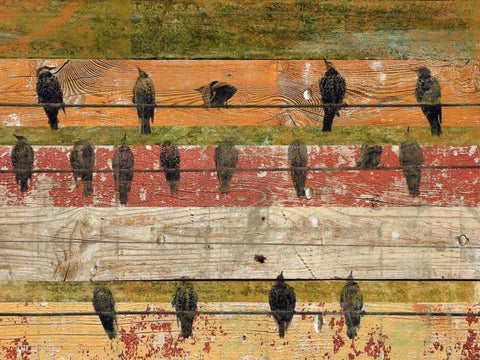 Birds on Wood VI White Modern Wood Framed Art Print with Double Matting by Orlov, Irena