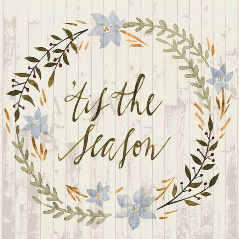 Rustic Christmas IV White Modern Wood Framed Art Print with Double Matting by Popp, Grace