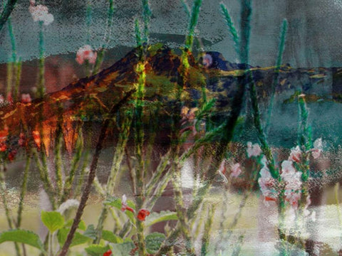 Mountain Wildflowers I Black Ornate Wood Framed Art Print with Double Matting by Jasper, Sisa