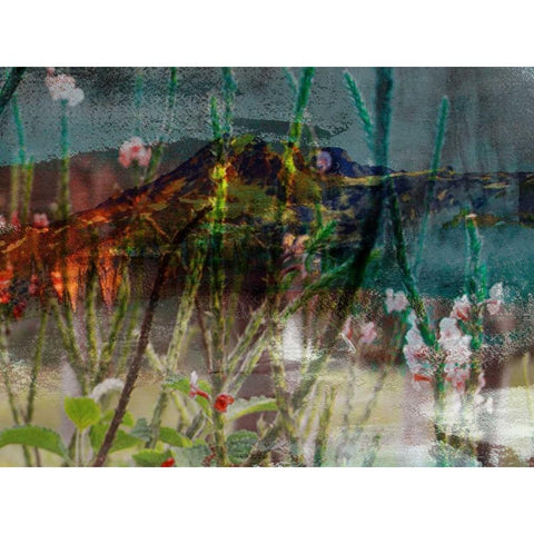 Mountain Wildflowers I Black Modern Wood Framed Art Print with Double Matting by Jasper, Sisa