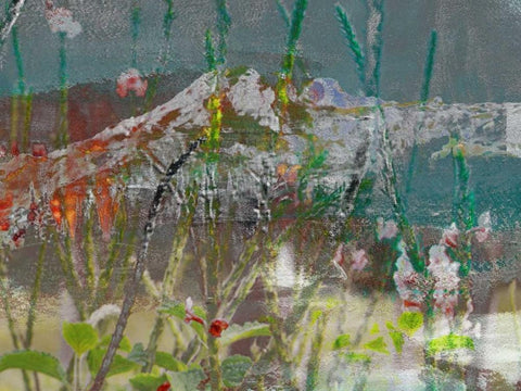 Mountain Wildflowers II Black Ornate Wood Framed Art Print with Double Matting by Jasper, Sisa