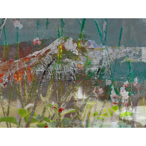 Mountain Wildflowers II Black Modern Wood Framed Art Print with Double Matting by Jasper, Sisa