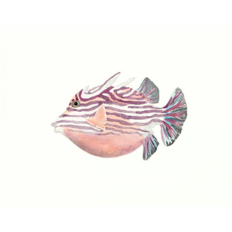 Watercolor Tropical Fish II White Modern Wood Framed Art Print by McCavitt, Naomi