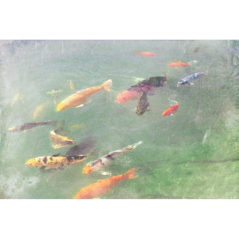 Koi Reflections I White Modern Wood Framed Art Print by Ludwig, Alicia