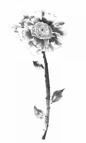 Ink Rose White Modern Wood Framed Art Print with Double Matting by Rae, Nan