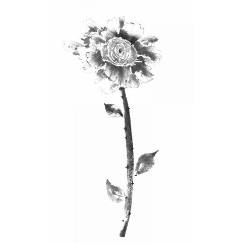 Ink Rose Black Modern Wood Framed Art Print by Rae, Nan