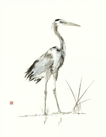 Evening Watch I White Modern Wood Framed Art Print with Double Matting by Rae, Nan