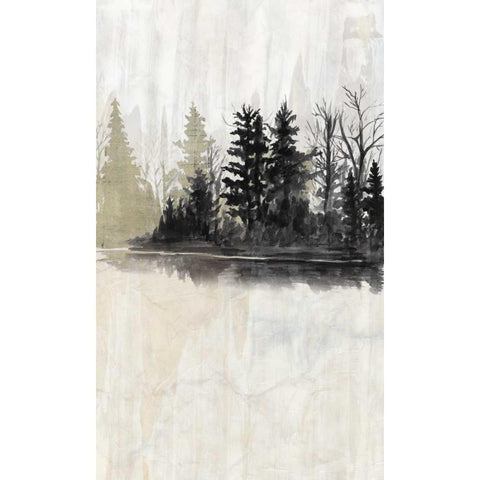 Pine Island I Black Modern Wood Framed Art Print with Double Matting by McCavitt, Naomi