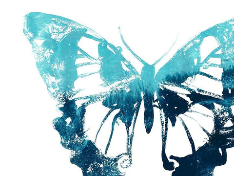 Butterfly Imprint I White Modern Wood Framed Art Print with Double Matting by Vess, June Erica