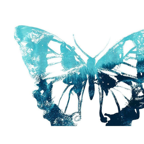 Butterfly Imprint I Black Modern Wood Framed Art Print with Double Matting by Vess, June Erica