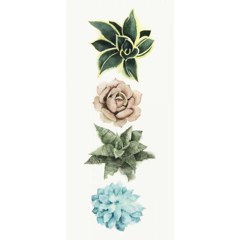 Row of Succulents I Black Modern Wood Framed Art Print with Double Matting by Popp, Grace
