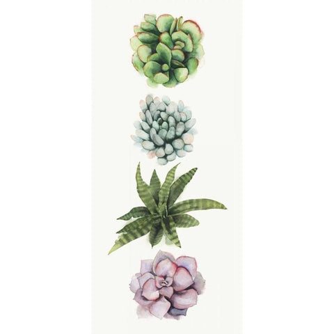 Row of Succulents II White Modern Wood Framed Art Print by Popp, Grace